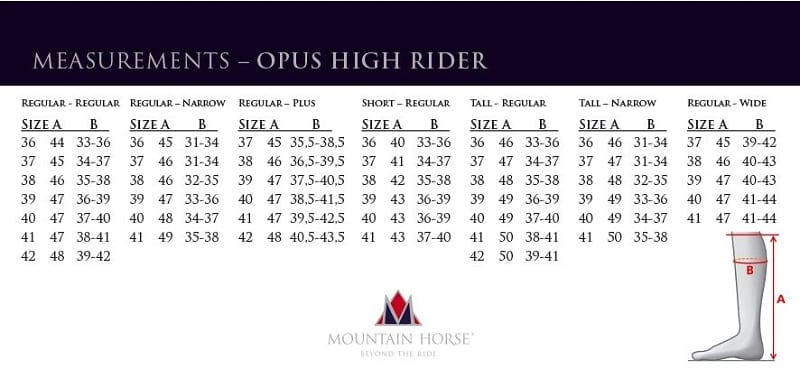 mountain horse opus high rider